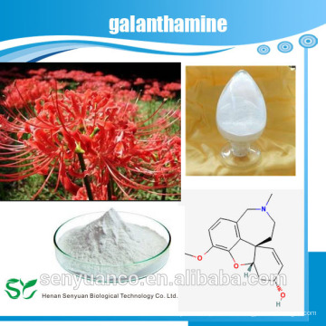 Top-Qualität 98% Galanthamin-Hydrobromid-Pulver 1953-04-4